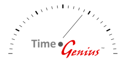 Time Genius 250x125